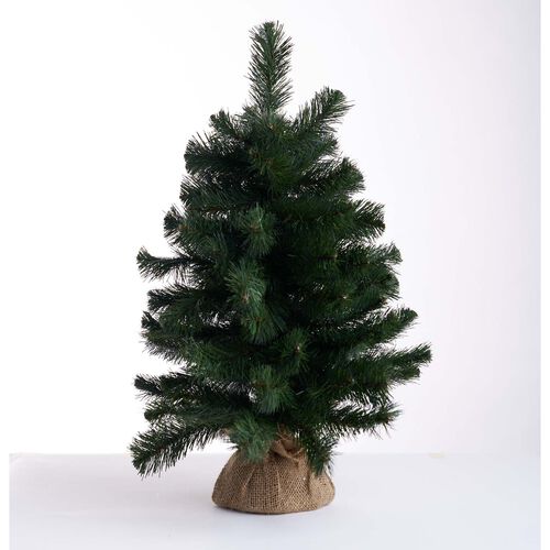 Australian Pine Tree With Burlap 60cm